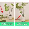 4pcs Double Plant Stem Folding Frame Efficient Plant Stem Holder  Climbing Plants To Grow Upright