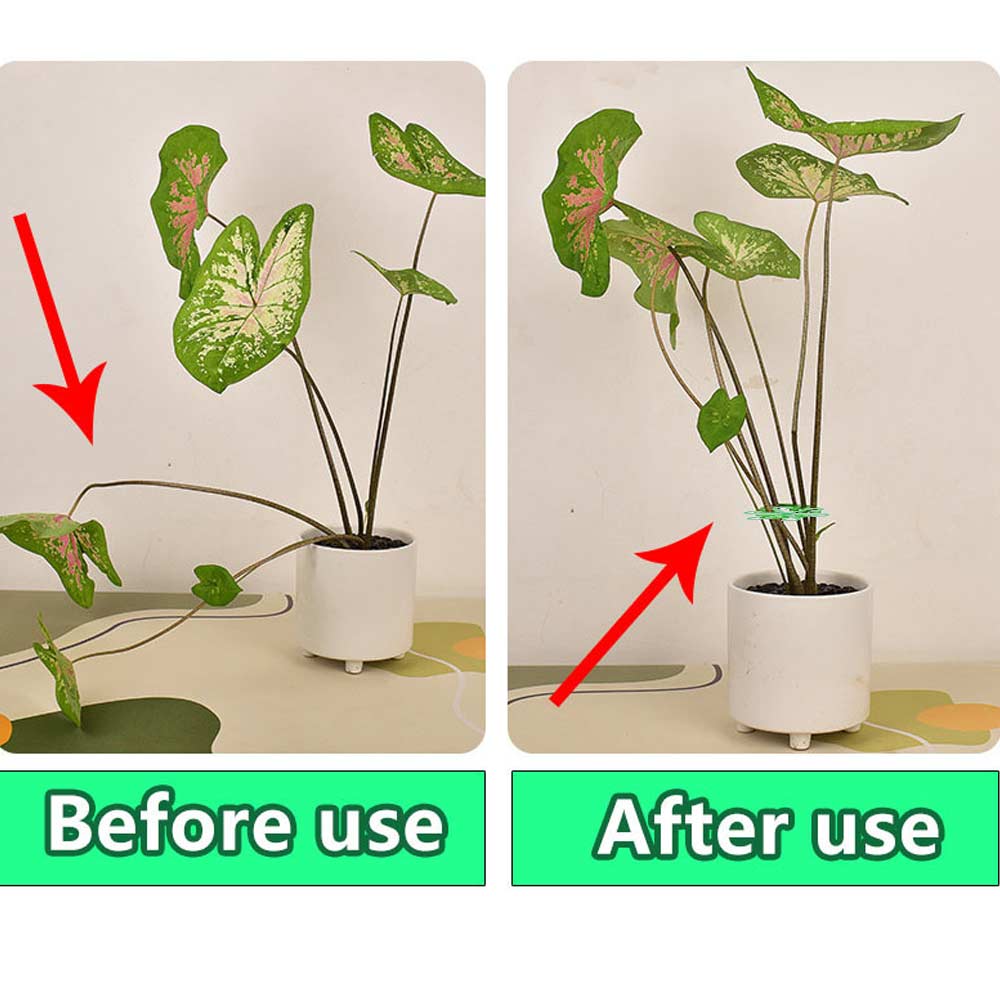 4pcs Double Plant Stem Folding Frame Efficient Plant Stem Holder  Climbing Plants To Grow Upright