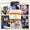 ORDRO EP7 4K Head-Mounted VLOG Camera (CN Version)