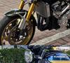 Radiator Grille with Insect-Proof and Protective Mesh for Kawasaki Z900RS 2021-2022