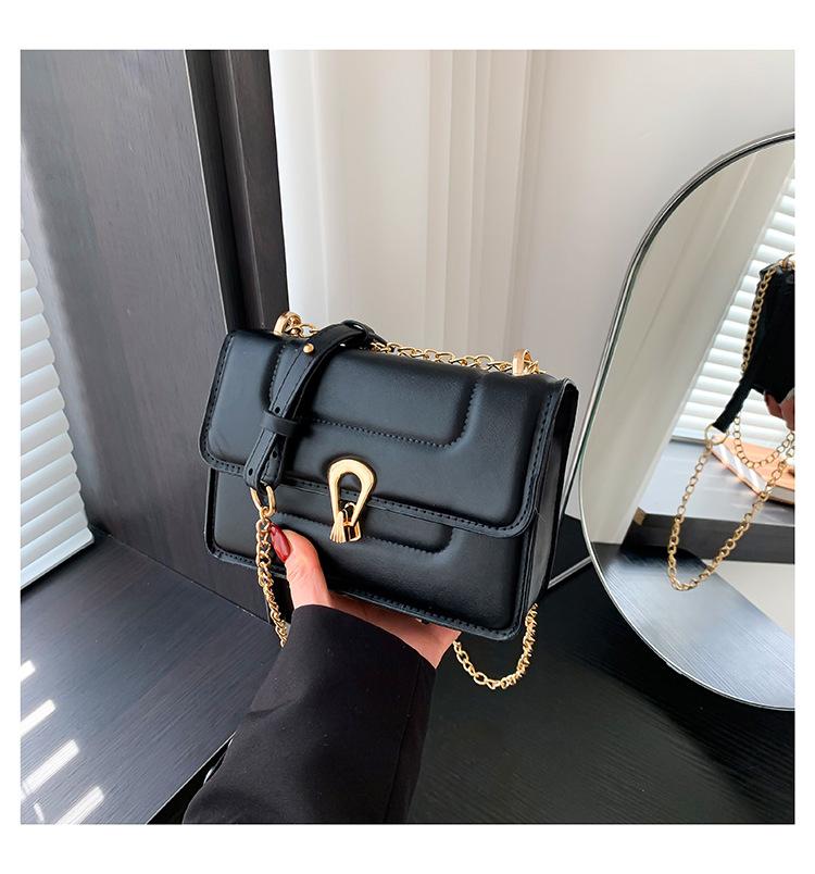 

Женские популярные маленькие сумки в этом году, женская ранняя весна 2024 года, новая простая модная сумка через плечо, простая повседневная сумка-мессенджер чёрный