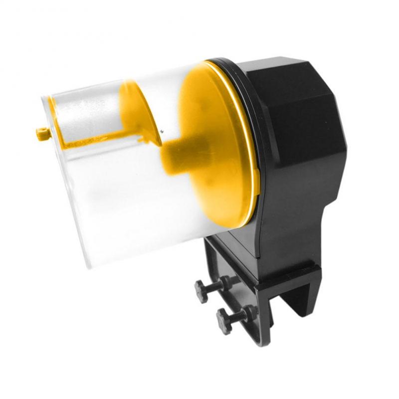 Large Yellow