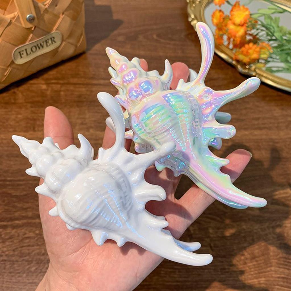 White Seashell Hair Claw Clip for Women, Large Conch Hair Clamp, Beach Vacation Hair Accessory, Perfect for Summer Hairstyle & t