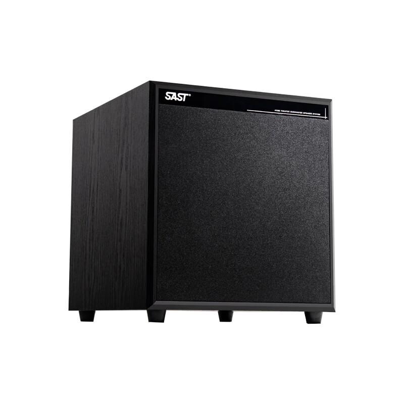 SAST 12-inch Active Subwoofer