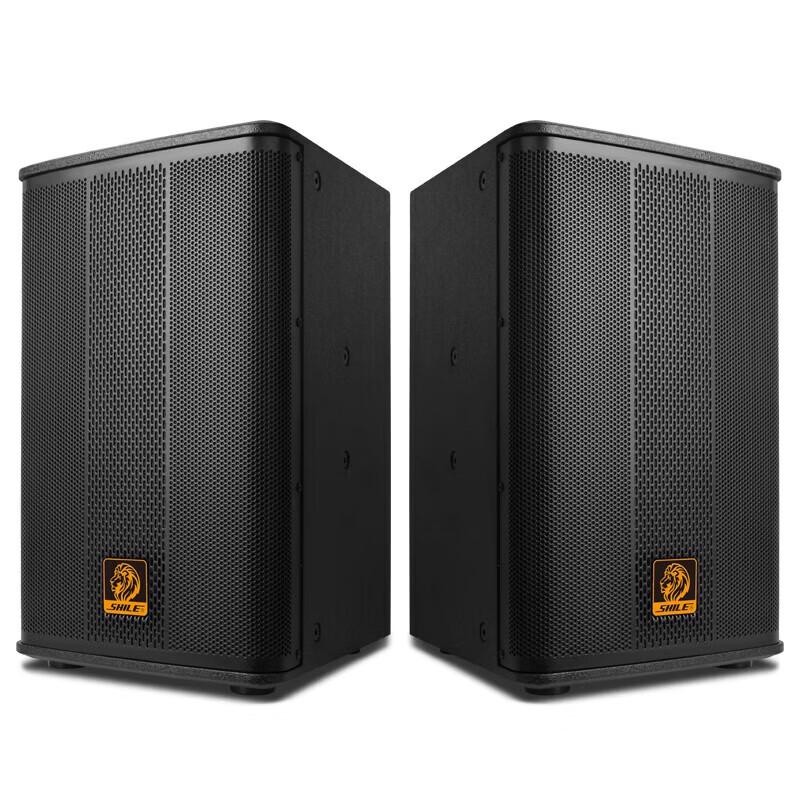 SHILE 10-inch Professional Conference Speaker