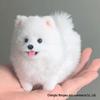 Twisty Stick Puppy DIY Plush Doll Kit - Cute Handmade Toy for Kids