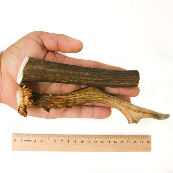 Jouets à mâcher - RF - DEER - Bois de Chèvre - Set L - 111-230g - 13-22cm