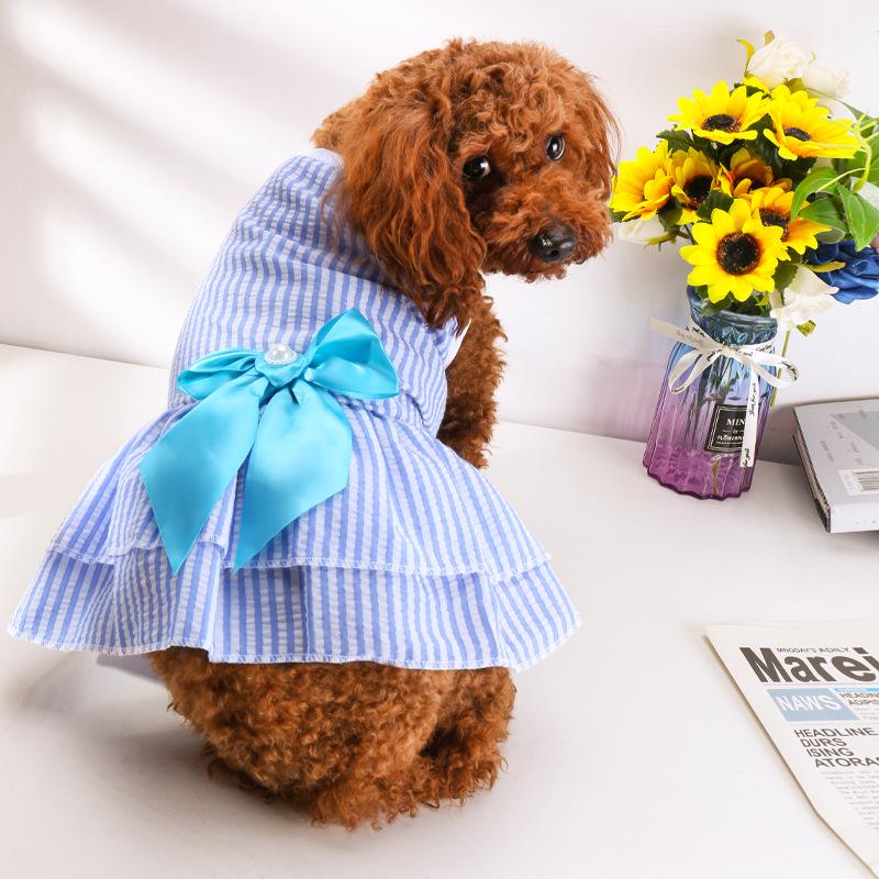 New Summer Thin Pet Bubble Skirt for Dogs Teddy Bear Design