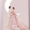 Wedding Dress 2025 Couple Question Wedding Dress Travel Photography Clothing Tube Top Temperament Pink Banquet Wedding Dress