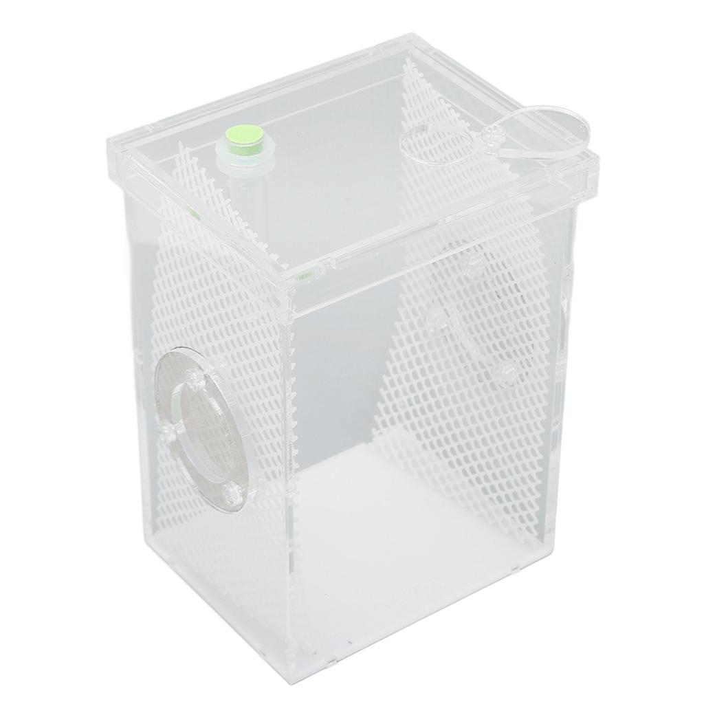 Reptile Insect Enclosure     Acrylic High Transparency Moisturizing Reptile Insect Breeding Box