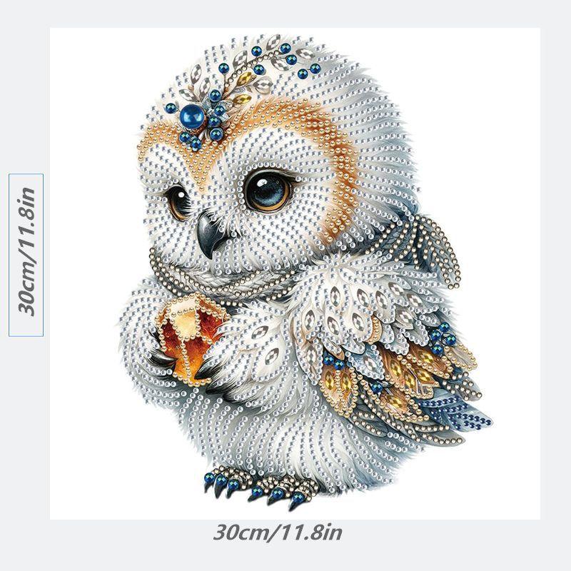 Pictură cu diamante DIY Artă cu broderie de pietre prețioase 5D Decorațiuni pentru casă