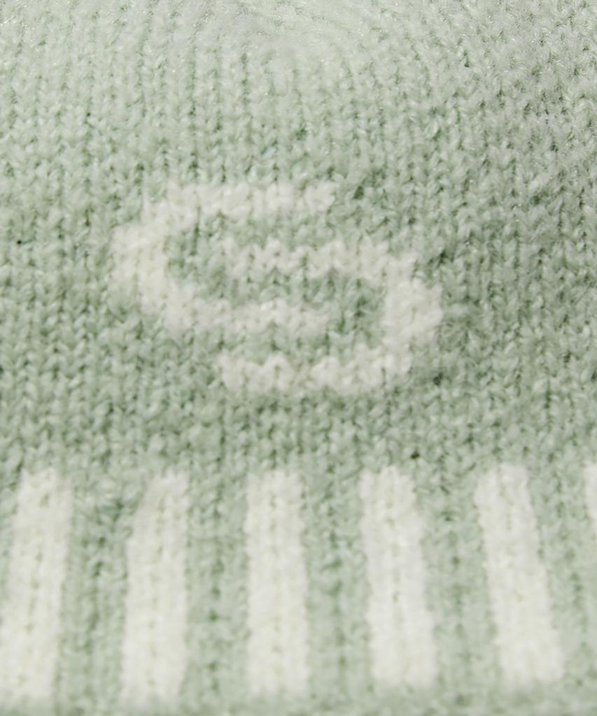 CERRIC Logo Knitting Beanie/Mint