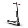 KIXIN X6 Electric Scooter Adults with Removable Battery, 350W 5.5" Solid Tire