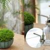 High Quality 7oz Retro Glass Plant Flowers Spray Bottle Hand Washing Bottle