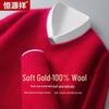 Hengyuanxiang Men's 100% Pure Wool V-Neck Sweater