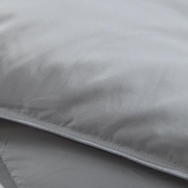 Muji Premium Goose Down Comforter