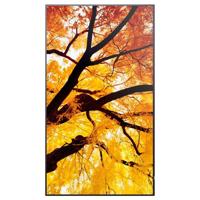 Ecran D'affichage - Moniteur Nec