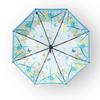 Aurora Midsummer Night's Dream Silk Scarf & Art Umbrella Set