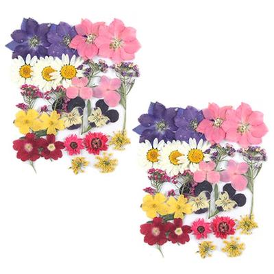 Paquete completo de flores prensadas Fresco21, K100, 2 unidades, Suministros de juguetes coreanos