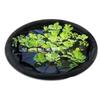 Adjustable Floating Plant Shield Guard Net with Automatic Level Adjustment Suitable For Outdoor Pond & Garden Waterfalls