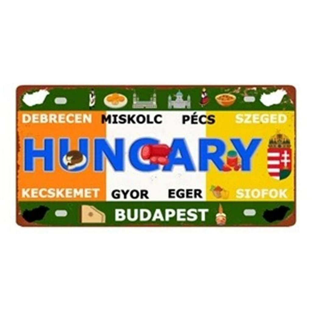 Iceland License Plates Metal Tin Signs for Wall Art Decoration Vintage Tags Metal Automotive Signs For Cafe Bar Club Garage Pub