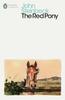 Le Poney Rouge par John Steinbeck Livre de poche 9780141185095