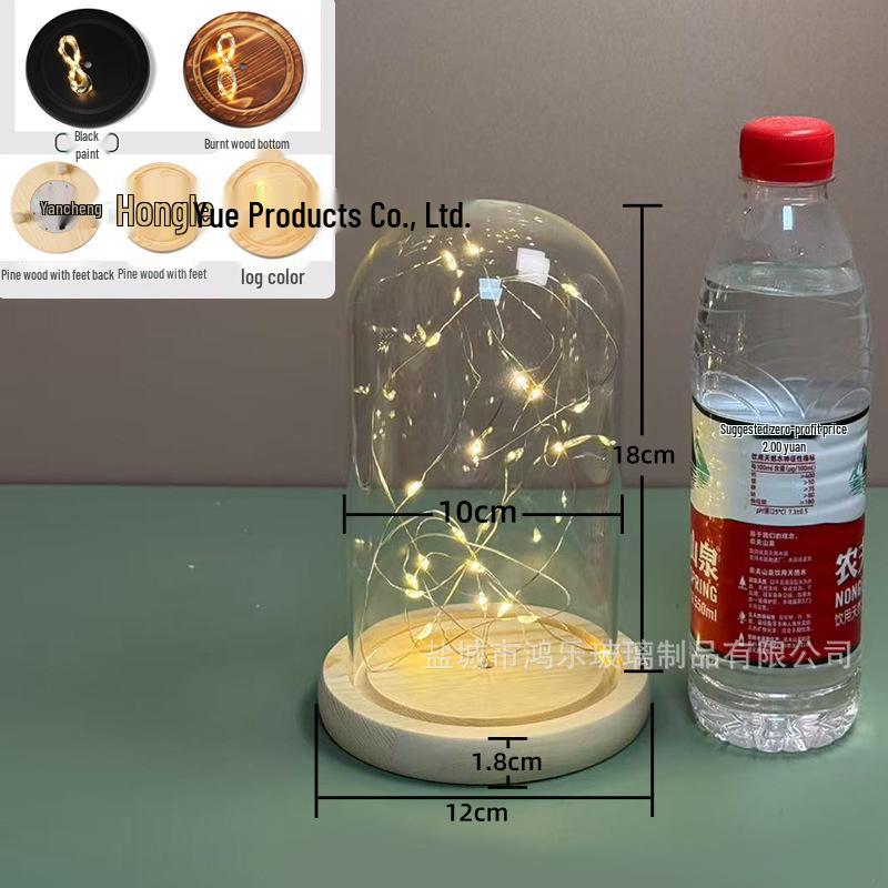 Luminous Sea Urchin Glass Dome with Preserved Flowers and String Lights
