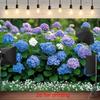 2D Hydrangea Flower Garden Backdrop for Bridal, Maternity & Spring Shoots