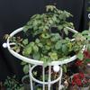 Assembled Umbrella Flower Stand Climbing Vine Plant Easy to Install Garden Plant Support