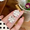Annual Temperament Fashionable Silver Big Flower Stud Earrings Women's Exquisite Micro-inlaid Sparkling Zirconium Earrings Versatile High-end Earrings