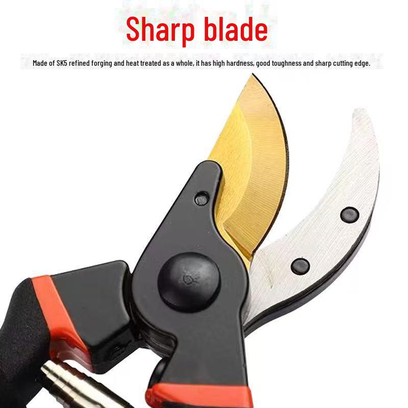 Hochleistungs-Gartenschere: Obstbaum- und Dickastschere