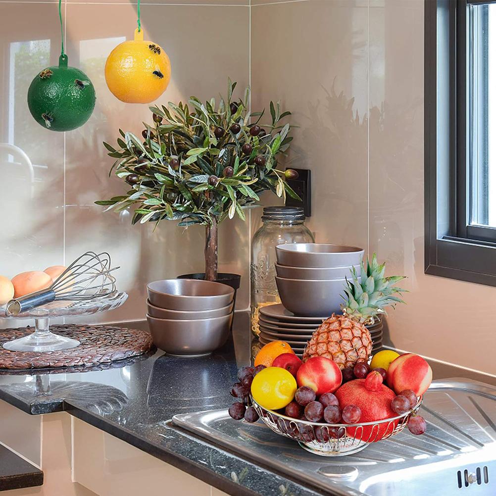 10Pcs Fruit Fly Trap with Sticky Gnat Killer Fruit Fly Traps Effective Fly Catcher Insect Trap for