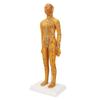 20.9in Acupuncture Female Model High Definition Clear Chinese Human Body Acupuncture Model for Teaching