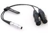 ZBLZGP Audio Breakout Input to Dual XLR Female for Atomos Shogun Flame Monitor Recorder Plug Cable, 10-Pin 3-Pin (Straight Cable)