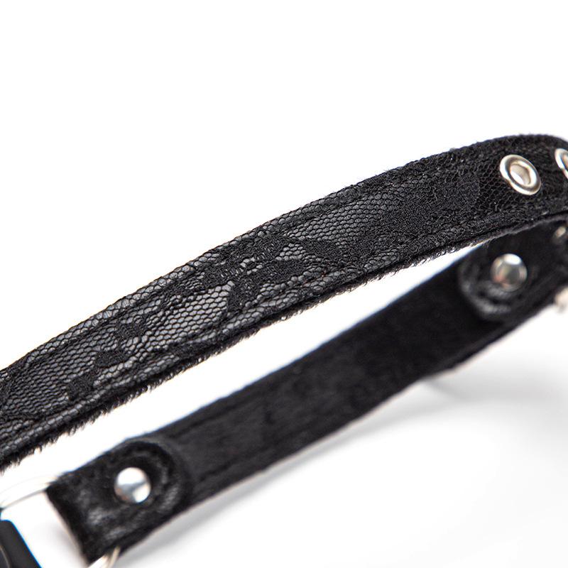 5 Farben Rose Mundknebel Sexy Retro Spitzenmuster Bondage BDSM Mundball Hunde Sklave Flirten Erwachsenenspiele Sexspielzeug Für Frauen Paar