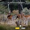 Outdoor Nature 2.7k 24mp Hd Trail Camera Infrared Night Vision 0.3s Motion Activated Waterproof Cam Trap Game Wildlife Scouting