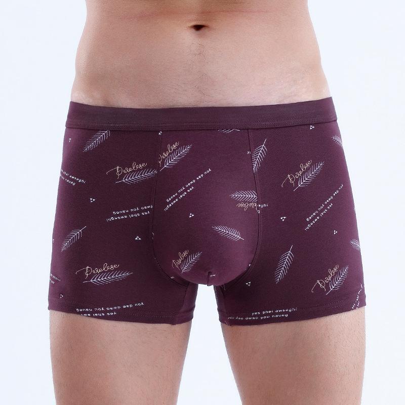 Men's Pure Cotton U-shaped Flat Angle Pants with Three-dimensional Printing At The Waist Men's Underpants Men’s