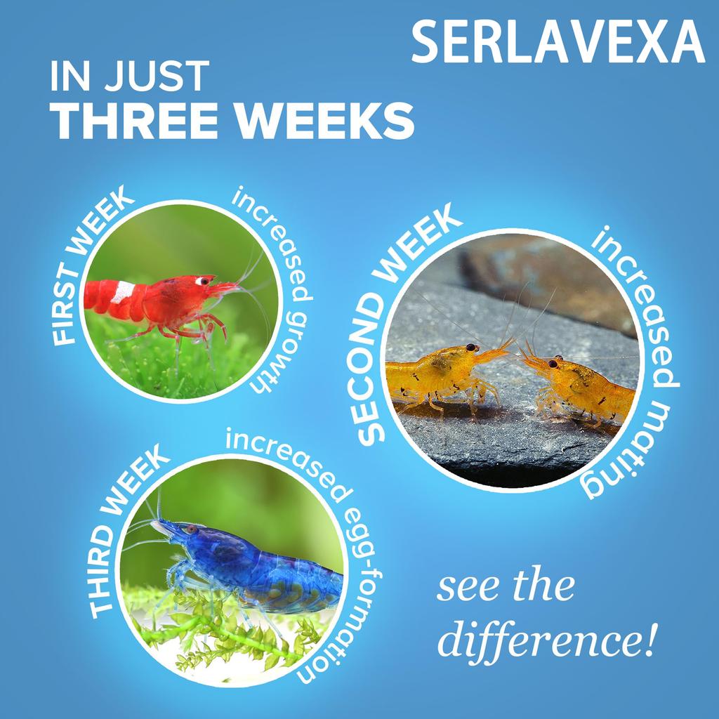 Serlavexa Granuli per Cibo di Gamberetti Nutrizione Premium Acquario Cibo per Invertebrati Per Gamberetti Red Cherry Crystal Promuove la Muta