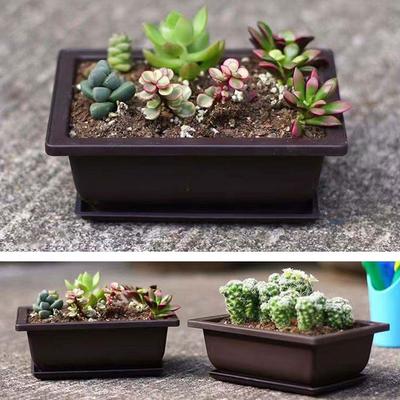 Macetas para bonsái, flores y suculentas, para interior y exterior, transpirables, rectangulares, para balcón.