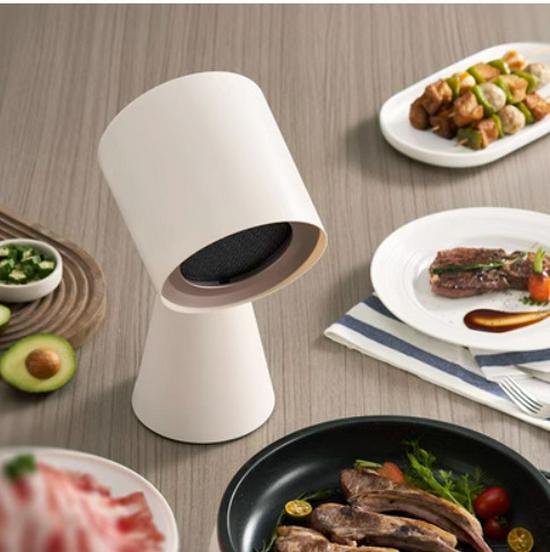 Portable Mini Range Hood Oil Fume Purifier - No Installation Needed, Compact for Home and Car Use
