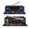 HY 302 12V Digital Amplifier For Home Car Auditory With USB TF Playing BT5.0 FM Radio