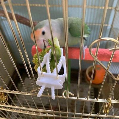 Ptáci – Ptačí krmítka a pítka