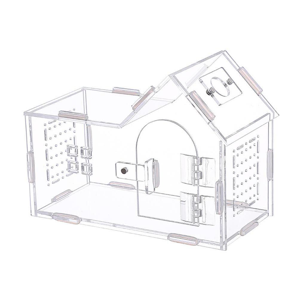 Reptile Feeding Box with Lids Animal Habitat Cage Mini Pet Breeding Container for Gecko Turtle Tarantula Pet Supplies