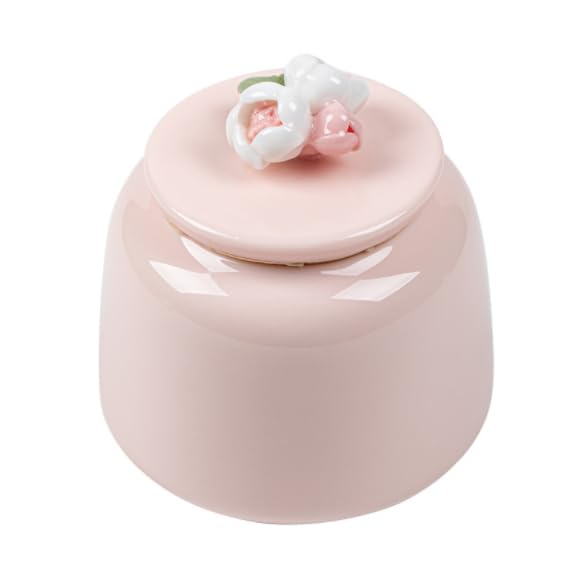 DiDiBirDi Mini Urn, Perfect for Keeping Your Pet's Ashes, Perfect for Two-Part Cremation, Includes a Compact Urn Cover and Pink Cover, Ideal for