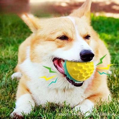 Haustierspielzeug Ball Katze Hund Kauen Zähneknirschen Zähne reinigen Konvexer Punkt Bissfestigkeit Elastisch Tour Training Quietschies für Hundespielzeug