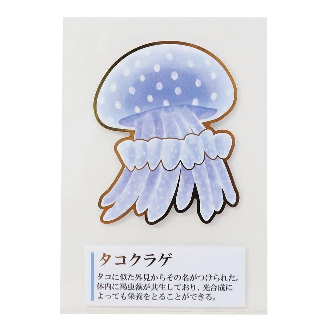 

Adult Encyclopedia Deco and [Mini Sticker] Water-Resistant Light-Resistant Sticker/Jellyfish білий