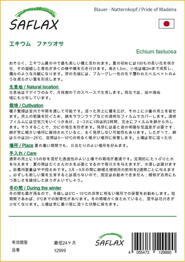 SAFLAX Pride of Madeira - 100 semen - Echium fastuosa
