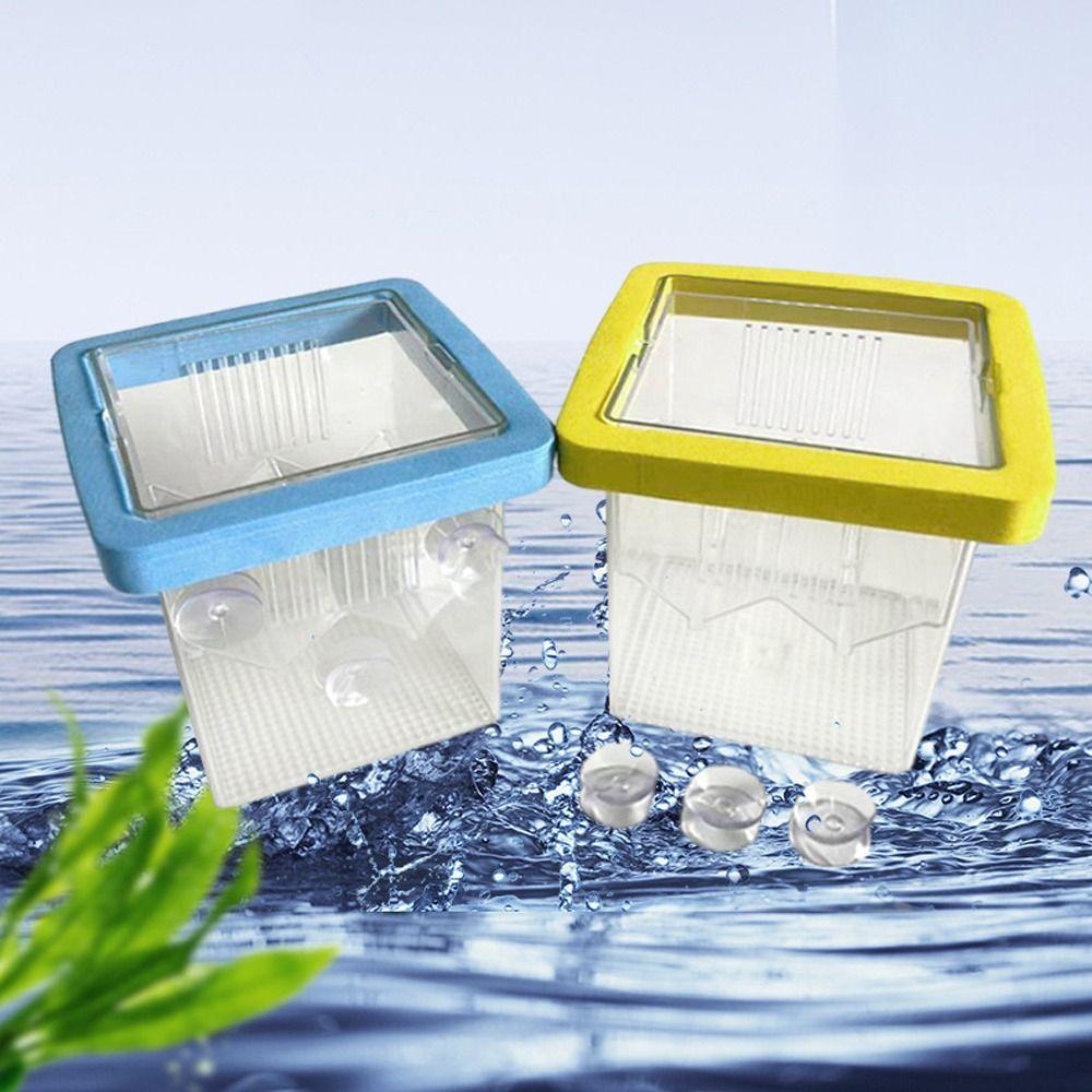Square Aquarium Fish Breeding Box Clear Fish Tank Hatching Incubator  Aquarium