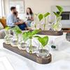Stacja do rozmnażania roślin na biurko Szklana doniczka Terrarium z drewnianą do roślin hydroponicznych Wystrój domu i biura Miłośnik doniczek