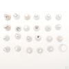23pcs Flower Icing Piping Nozzles Tips Fondant Cake Decorating Tool with Adapter
